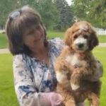 potty trained puppies MI