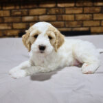 00d87c5c-011a-4ef2-b4f7-4888576ab283