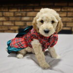 03f46f93-8510-4ad6-ac1b-3f13dd0155f7