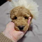 05dd8690-a551-4957-9e2a-d6c68cf541bb