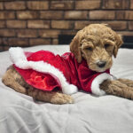 19767e27-d816-40cc-bf33-230eb69ba1f9