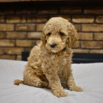 1d5b2b81-6cca-448a-a0e9-d8cc0ca9a02e