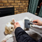 28d245de-154f-460f-9614-87a68c9b35fe