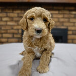 356ca772-a3af-4628-b35b-2cbad73674a0