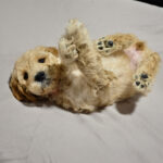 38f2811c-ad0d-4339-a206-0909d4e50197