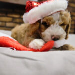 3a255c34-0739-4c5a-8f13-0c18cddc440e