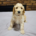 48b34f59-30db-4f7b-8ae5-52debf84a28e