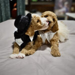 5811ef35-9a11-423d-918f-4d7cd2c7b876