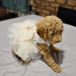 6807f49b-9c59-4440-9f8d-a19bc363576e