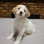 7e20b14d-2da3-4a02-9be3-adfc62253312