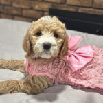 a1e9f260-4d18-4ccf-a0b6-24a5a1a0adbd