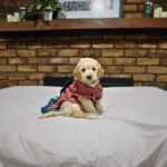 a58d9d25-7697-4ca3-8c51-0d89ead495f3