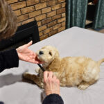 b3758128-df93-4d51-ab29-e8a90c0ed5a4