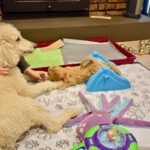 eb4886c1-15cb-4908-adc9-59f269248712