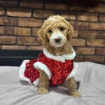 ee17f7ba-bec4-4c40-9990-c42b6997511f