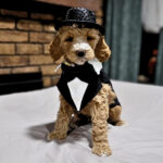 f1b64083-9090-4976-b1c5-66c9678be087