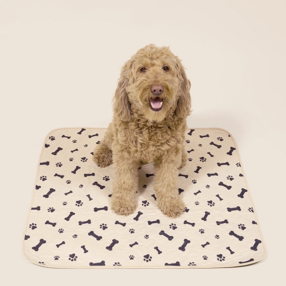 Reusable Potty Pads (Order Code: PATTY) - Image 3