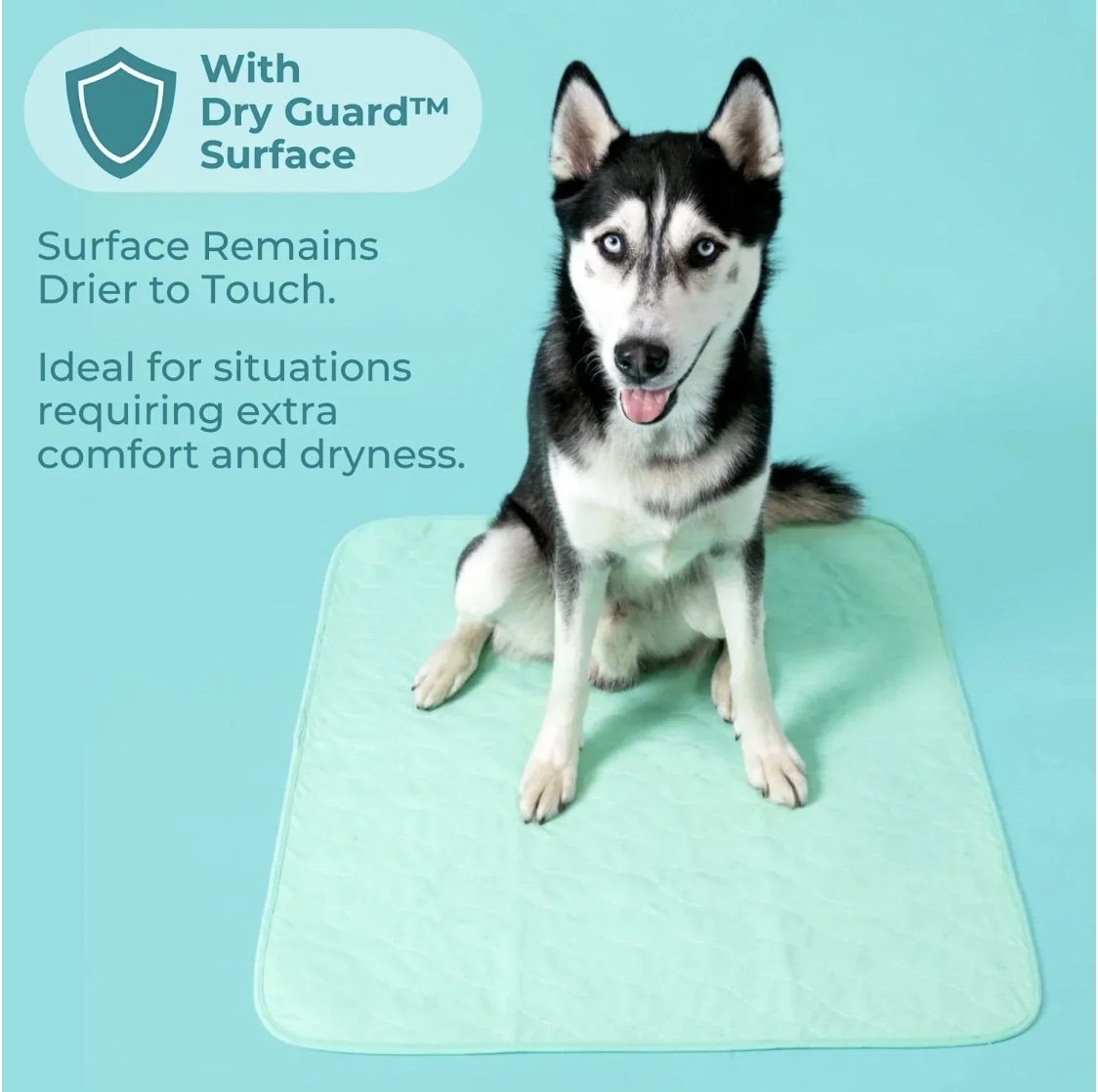Reusable Potty Pads (Order Code: PATTY) - Image 2