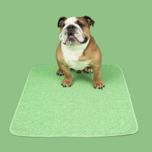 Reusable Potty Pads (Order Code: PATTY)