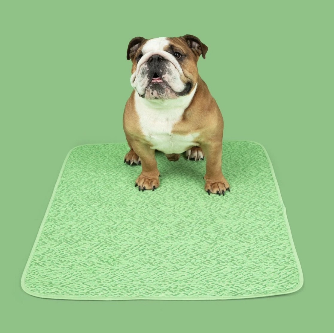 Reusable Potty Pads (Order Code: PATTY)