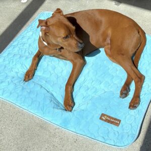 Cooling Mat