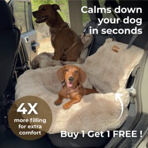Car Bed