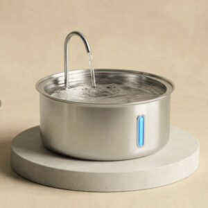 Water Fountain
